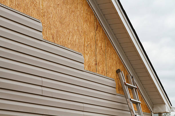 Trusted Storm Damage Siding Repair service in Forest, OH - Squared Siding